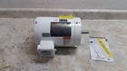 1ttb5 Dayton Hp Rpm Washdown Motor
