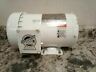 2dak8bh Dayton Hp Rpm Washdown Motor