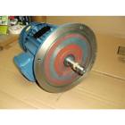 3eae9-00236epe3e145hp 3eae9 Weg Vertical Pump Motor Rpm
