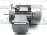 33610022-11790070 80l-4 Nord Gear Electric Motor Cus Kw Rpm Fr