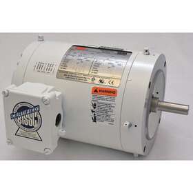 1ttb1 Dayton Washdown Motor 1/3 Hp 1765 56c 230/460v