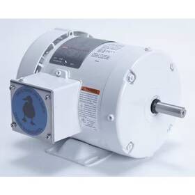 Leeson 112427.00 Washdown Motor 1/2 Hp Rigid Base Cwse