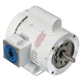 112527.00 Leeson Washdown Motor Face/base 10-7/8 Inch L
