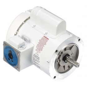 114313.00 Leeson Washdown Motor 1/2 Hp Face 10-7/8 Inch L