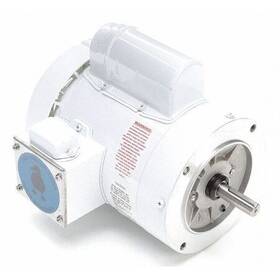 114315.00 Leeson Washdown Motor 3/4 Hp Face 11-3/8 Inch L