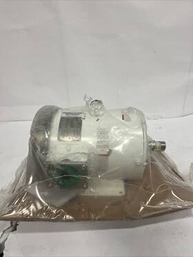 132197.00 Leeson Washdown Motor 5 Hp Rigid Base 60 Hz