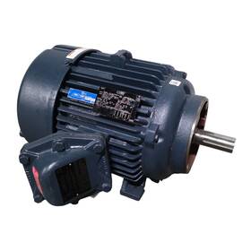 254ttgn16507aa Leeson 825076.00 Explosion Proof Motor 15hp 3550rpm 254tc 230/460vac 3-ph