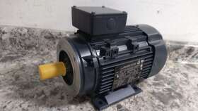 090lt17fh6419 Marathon Motors 2 Hp 1745 Rpm 230/460vac 3-phase Metric Motor D