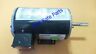48t11d11013a T Wk Marathon Motors Motor Vfd Vt Inverter Duty Variable
