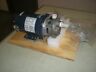 4103006456 T31f Ss Mth Pumps Pump With Bluffton Motor Connected For Volts