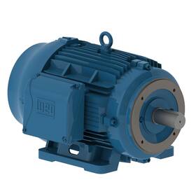 04018et3e324tsc-w22 Weg - Pe 40hp 1800 324/6tsc 230/460v Tefc Foot Mounted New