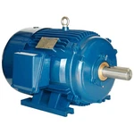 PE254T-15-2 Hp Electric Motor 3600 Tefc North American. Fixed Price $1528.35.