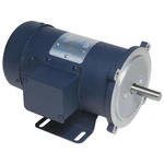 Leeson 098004.00 Scr Rated Permanent Magnet Dc Motor 1/3 Hp 1750 Rpm. Fixed Price $520.29.