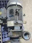 New, Weg W21 Severe Duty Motor, 3HP, 3PH, 60HZ, 208-230V, 8.52A, 1170 Rpm. Fixed Price $200.00.
