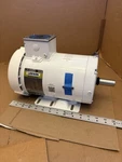 Leeson 119783.00 Hp Feather Picker Motor, 3PH, 230/460V, 1800 Rpm. Fixed Price $374.99.
