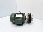 Reliance Electric P18F311 Motor. Fixed Price $146.99.