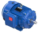Marathon XRI-841 Sd Ac Motor 10HP 3PH 460V 1800RPM Tefc 215THFCD9026. Fixed Price $1355.00.
