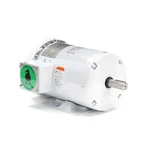 Leeson 121869.00 Electric Motor 1.5 Hp 1800 Rpm 3-PH 230/460 C145T17WB23A. Fixed Price $765.00.