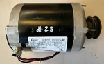 Century / Model H1031L Hp Fr KA56 Electric Motor. Fixed Price $99.00.