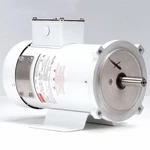 Dayton 1F650A Wshdwn Motor, Tefc, 1/2 Hp, 1750RPM, 90VDC. Fixed Price $790.99.