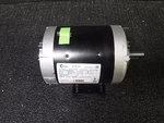 New Belt Drive Motor, Century, H1031L (t) (dr). Fixed Price $150.00.