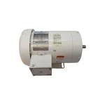 Marathon Electric TVD56T17W99016AB N602A 230/460V 3.1/1.55A Nsnp. Fixed Price $612.00.