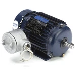 Marathon Motors 145TTGN6527 MOTOR,2 HP,1755 RPM,145T,230/460V 39W943. Fixed Price $1267.55.