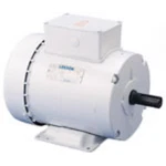 Leeson 121944.00 Ac Single Phase Agricultural Duty Motors 3 Hp 60 Hz. Fixed Price $900.11.