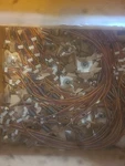 Minebea Stopping Motors Lot Of. 60. Fixed Price $300.00.
