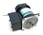 Oriental 5IK60GU-SH World Series Induction Motor, 3-PHASE (1/12 Hp). Fixed Price $179.99.