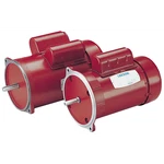 Leeson 101119.00 Ac Single Phase Agricultural Duty Motors. Fixed Price $591.69.