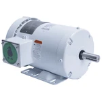 Leeson 121869.00 Washdown Duty Ac Motor 1/2 Hp 1800 Rpm Three Phase. Fixed Price $849.64.