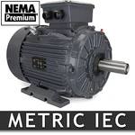 Techtop Electric Iec Motor 7.5 Hp 1800 Rpm 3PH 230/460 Volt 132S Frame B3 Mount. Fixed Price $1365.23.