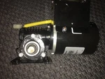 New Bison Ac Gear Motor Cw/ccw 1/15HP Int 30:1 55R 45IN/LBS 200-240 Volts 60 Hz. Fixed Price $110.00.
