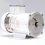 Dayton 1F650A Washdown MOTOR,1/2 HP,1750,56C,90V. Fixed Price $930.41.
