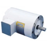 Leeson 116645.00 Ac Three Phase Washguard Motors 3/4 Hp. Fixed Price $711.92.