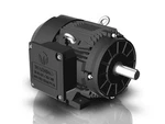 Techtop Electric Motor 15 Hp 1800 Rpm 3-PH 230/460 Volt 254T Frame. Fixed Price $1445.60.