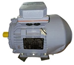 Marathon Terra Max, Motor TCA0031AE211GAA009 (the Item Has Little Damage). Fixed Price $399.99.