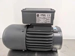 Bauer ETM-BG06-11/D06LA4-K/E003B4/AV Gearmotor 0.15HP 1620, 31 Rpm. Fixed Price $286.03.
