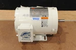 Washdown Motor Dayton 1TRZ8 3/4HP. Fixed Price $525.00.