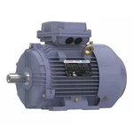 Marathon TCA0031AE211GAA009 Metric Motor, Hp, 3, 499 Rpm, 230/460V. Fixed Price $838.99.