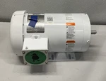 Leeson 2 Hp 3PH 56C 1745 Rpm Washdown Motor 119483.00. Fixed Price $365.91.
