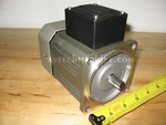 Tung Lee Induction Motor 5IK60GU-S3 60W 220V/380V. Fixed Price $490.00.