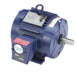 Marathon 182TTTCD6538 Severe Duty Mtr, 3-PH, Tenv, Hp. Fixed Price $949.99.
