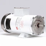 Dayton 1F640A Washdown MOTOR,1 HP,1750,56C,180V. Fixed Price $1233.90.