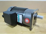 Sesame Motor Chip Auger G11V200U-75 Phase 230V/460V Ratio 1:75. Fixed Price $325.00.