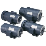Leeson 121816 Ac Brakemotor Hp 115/208-230V Tefc Frame 140. Fixed Price $1650.05.