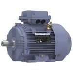 Marathon Motors TCA0032AE211GAA009 Metric MOTOR,4 HP,1,765 RPM,230/460V 55AY78. Fixed Price $1184.51.