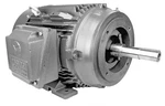Techtop Electric Aluminum Pump Motor 10 Hp 3600 Rpm 3PH 230/460 V 215JM Frame. Fixed Price $1279.11.