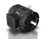 Techtop GR3-CI-TF-254TC-2-BR-D-15 Motor Hp 3600 Rpm 3-PH 230/460 Volt. Fixed Price $1563.20.